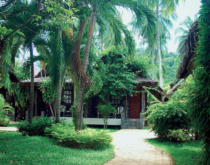Duangjitt Resort Phuket  