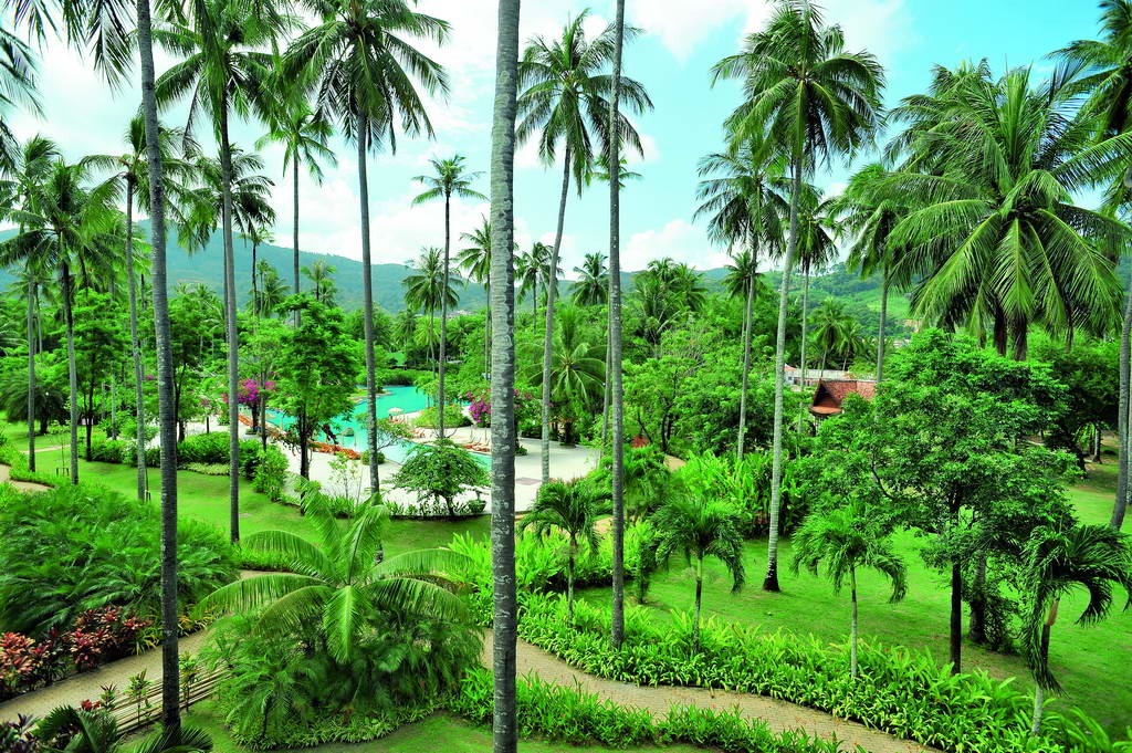 Duangjitt Resort Phuket  
