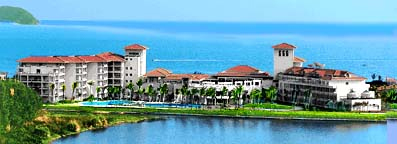 goldenpalm1.jpg