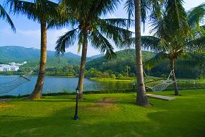 goldenpalm2.jpg