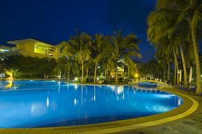 goldenpalm3.jpg