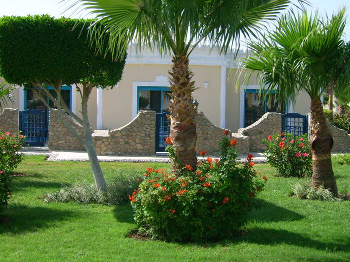 lillyland10.jpg