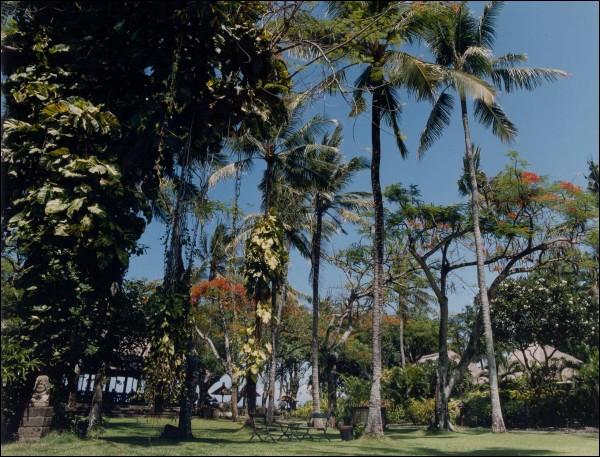santika-beach-garden.jpg