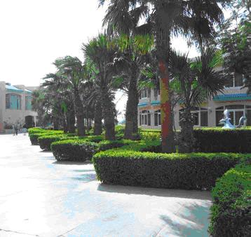 sindbadbeach2.jpg